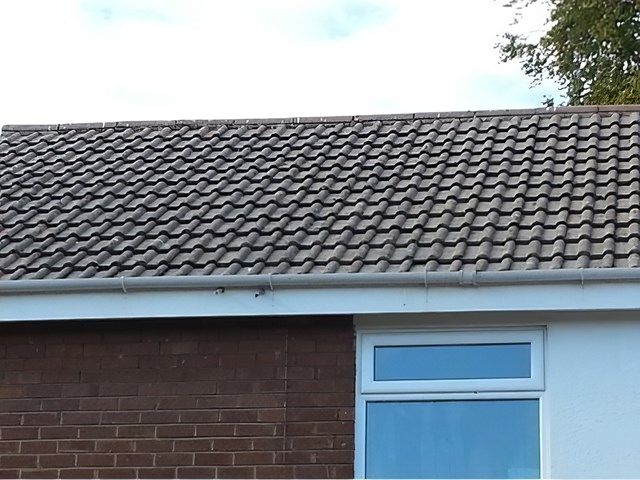sunrise-exterior-cleaning (61)-kireth-ai